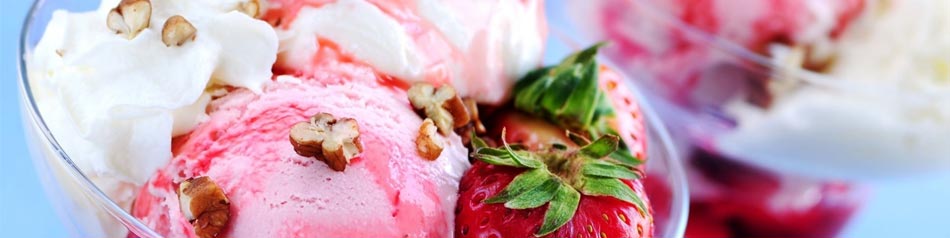 IJsboerderij Vrederust foto 1